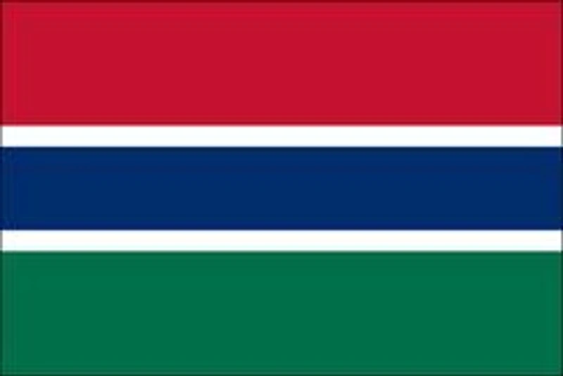 Country Patch Flag Gambia