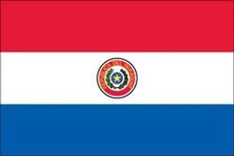 Country Flag 3x5 Paraguay