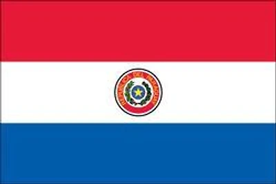 Country Flag 3x5 Paraguay