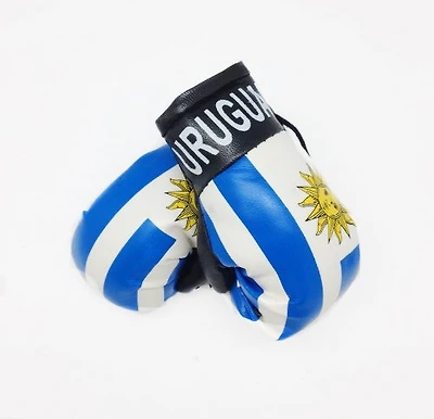 Country Boxing Gloves Set Uruguay