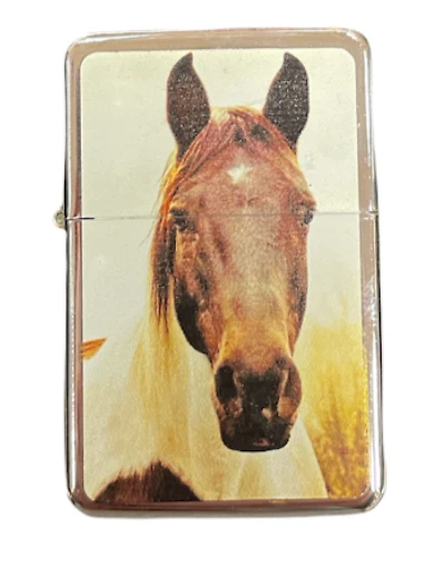 Star Lighter Horse Big Face