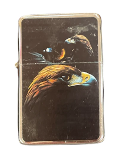 Star Lighter Eagle Night Sky