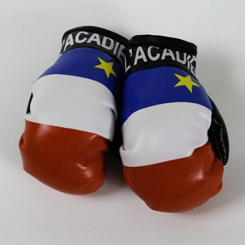 Country Boxing Gloves Set Acadia, Canada