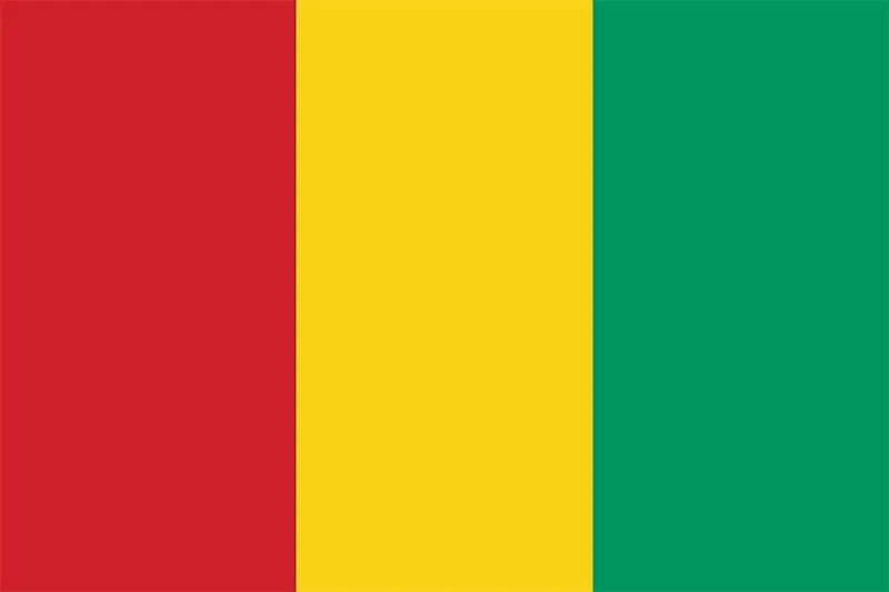 Country Flag 3x5 Guinea