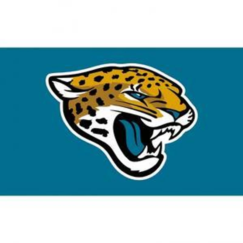 NFL Flag 3x5 Jaguars