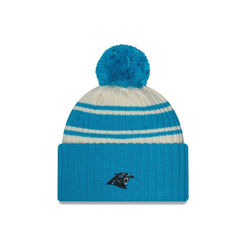 NFL Knit Hat 2022 Sport Panthers