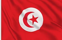 Country Flag 3x5 Tunisia