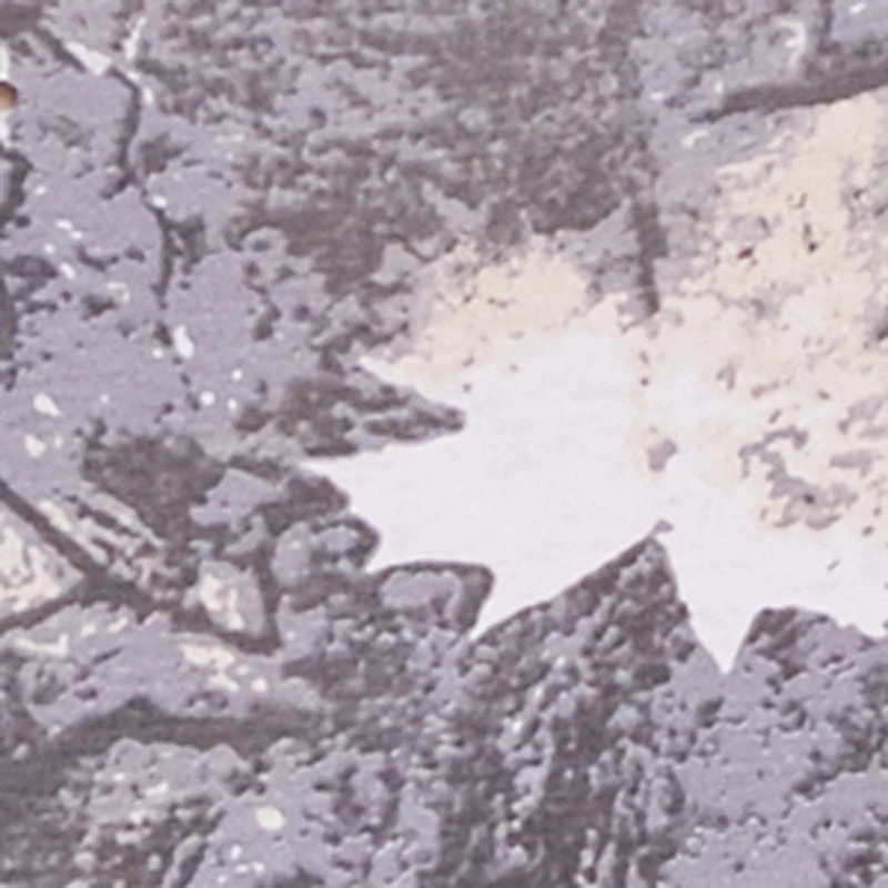 Plus Hunter Camo Short Sleeve Crew Neck Tee