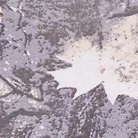 Plus Hunter Camo Short Sleeve Crew Neck Tee