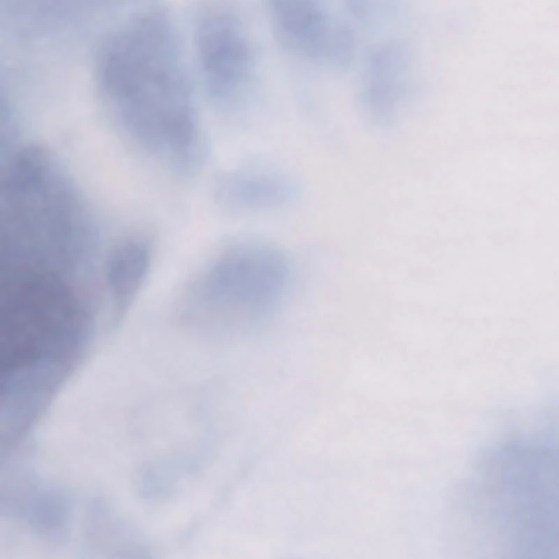 Plus Tie Dye Brooklyn Graphic Fringe Hem Tee