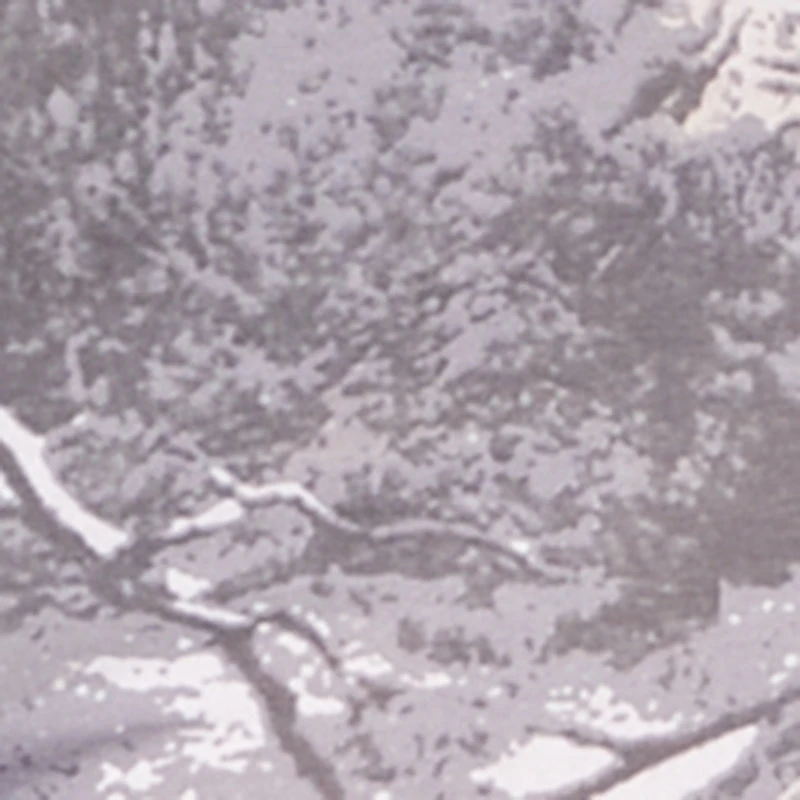 Plus Hunter Camo High Waisted Leggings