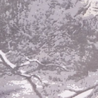 Plus Hunter Camo High Waisted Leggings