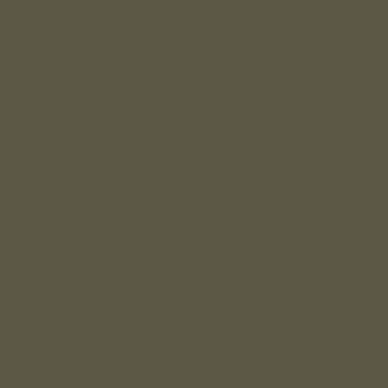 Side Zip Cargo Pocket Bermuda Shorts