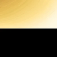 Foil Screen Varsity Stripe Biker Shorts