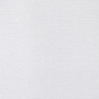 WAX Solid Twill Cargo Shorts