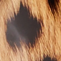 Pointed Toe Sling Back Spool Heels