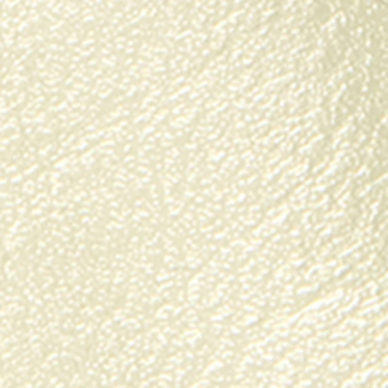 Metallic Buckle Open Toe Slide Sandals