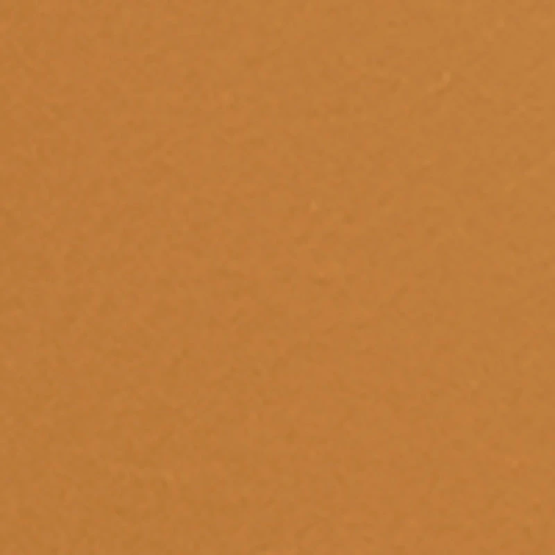 Metallic Double Buckle Slide Sandals