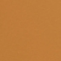 Metallic Double Buckle Slide Sandals