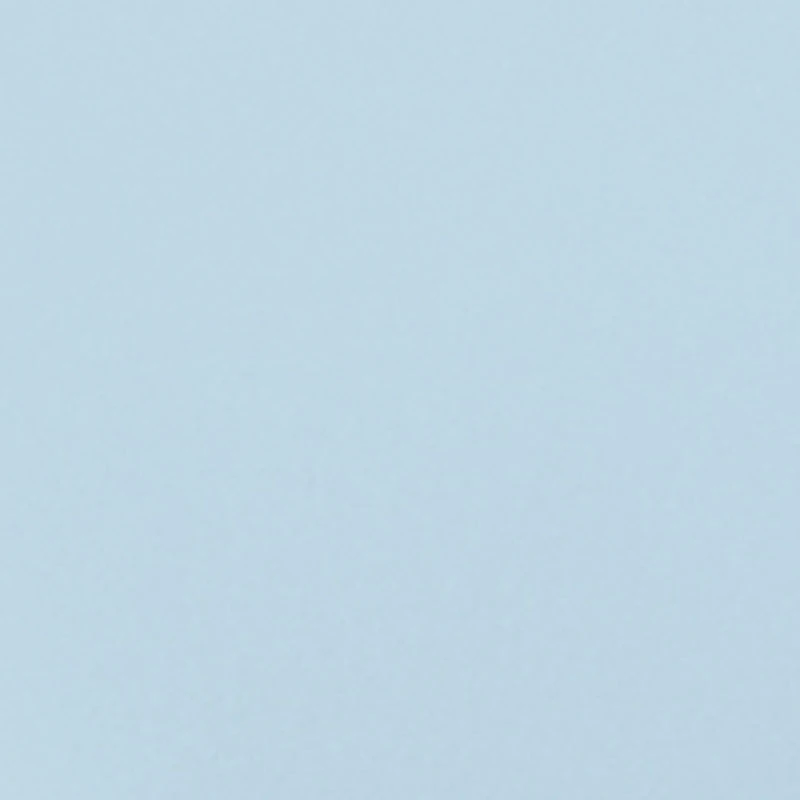 Metallic Buckle Band Slide Sandals