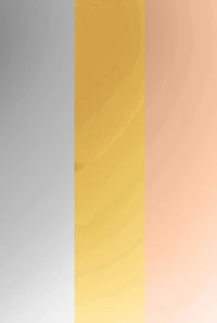 Metallic Toe Loop Strappy Slide Sandals