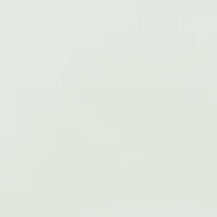 Metallic Strappy Toe Loop Sandals