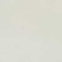 Charm Detail Double Ankle Strap Thong Sandals