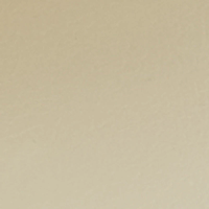 Metallic Trim Single Band Slide Sandals