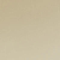 Metallic Trim Single Band Slide Sandals