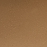 Metallic Trim H Band Slide Sandals