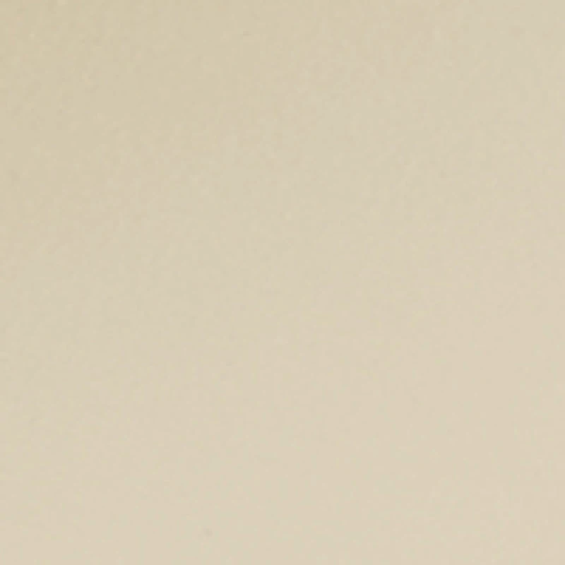 Metallic Horsebit Band Open Toe Sandals