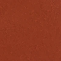 Double Buckle Toe Loop Footbed Sandals