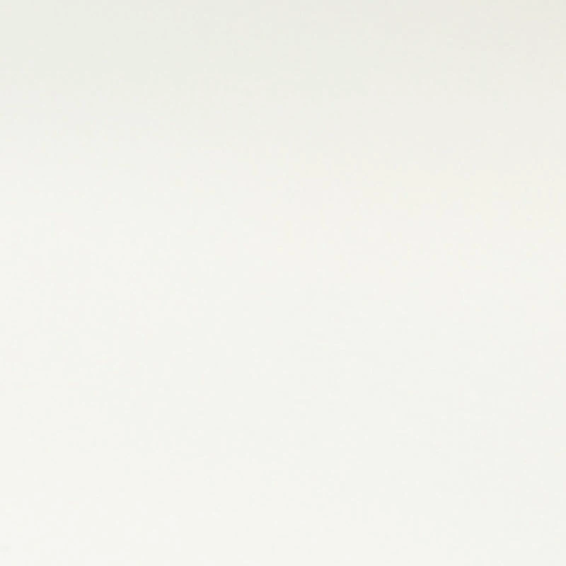 Metallic Detail Toe Loop Slide Sandals