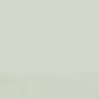 Metallic Rim Sunglasses