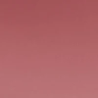 Metallic Butterfly Rim Detail Aviator Sunglasses