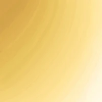 Box Clasp Chain Link Necklace and Stud Earrings