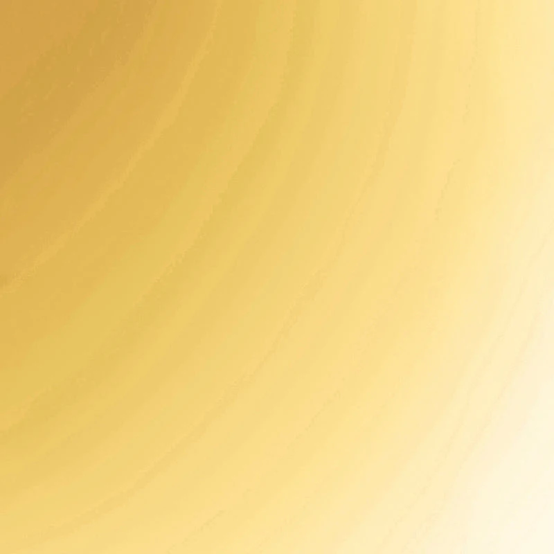 Box Clasp Chain Link Necklace and Stud Earrings