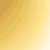 Metallic Beaded Statement Necklace