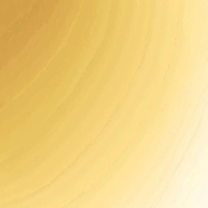 Assorted Charm Layered Necklace with Hoop Earrings