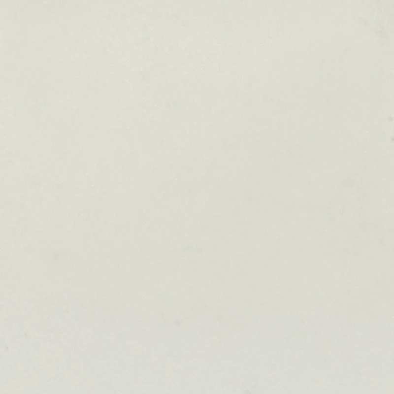 Contrast Trim Analog Watch