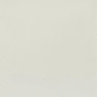 Contrast Trim Analog Watch