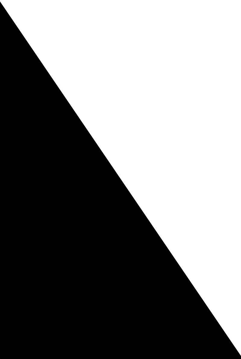 Lace Detail Plunge Bras 2 Pack