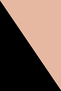 Basic Plunge Bras 2 Pack