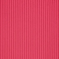 Rib Knit Criss Cross Hem Mock Neck Crop Top