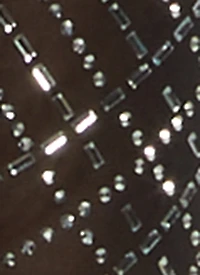 Sheer Mesh Rhinestone Crop Top