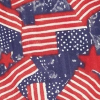 Plus American Flag All Over Print Tank Maxi Dress