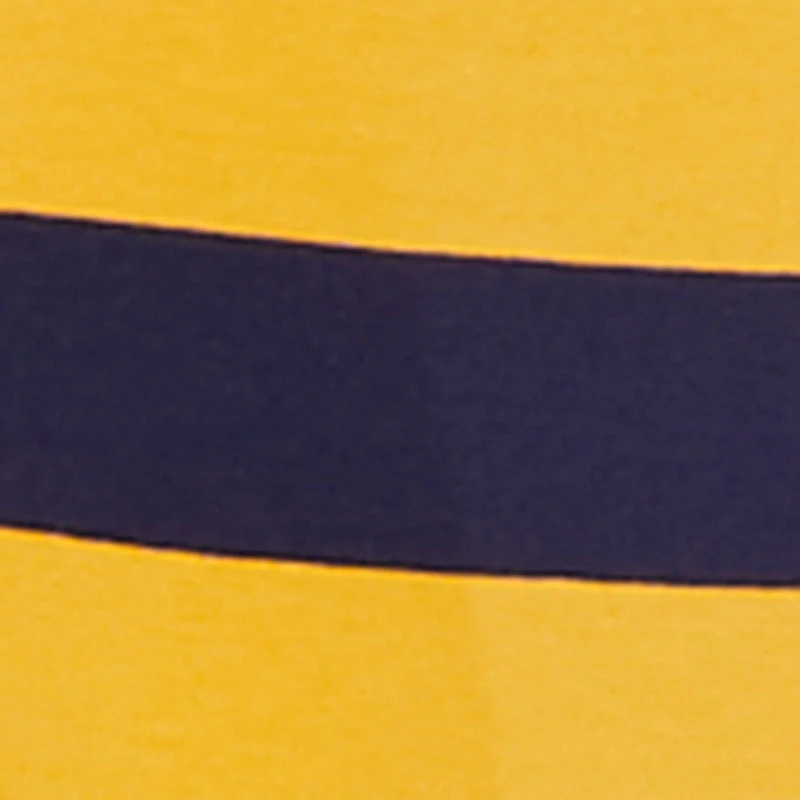 NY Embroidered Striped Cropped Long Sleeve Polo Top