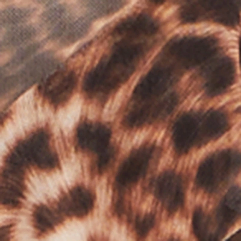 Leopard Print Ruffle Tiered V Neck Blouse