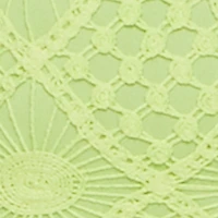 Trendy Patterned Crochet Sleeveless Dress