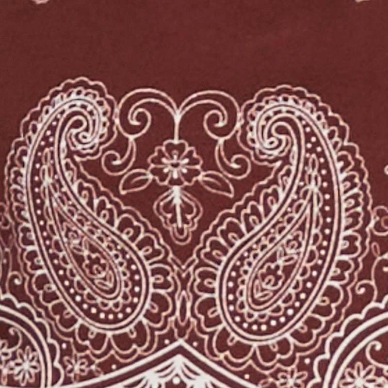 Bandana Print Mini Skirt